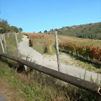 DSCN4666.1
