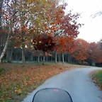 DSCN0645