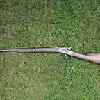 carabina remington
