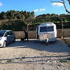 IMG-20190313-WA0007