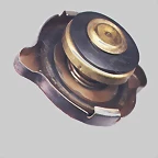 14 tapa radiador