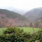 DSCN2798