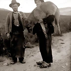 Cargando%20lobo
