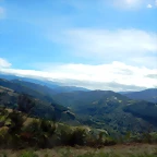 DSCN9225