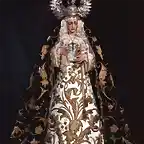 lapalmtamantofrentevirgen