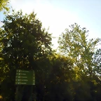 DSCN9268