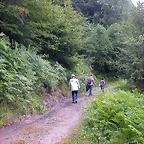 DSCN4268