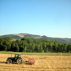 DSCN7206