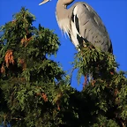 Zoo de Barcelona 29-09-2010 328