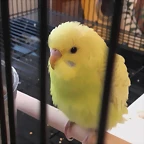 20170509_190943