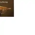 ultrashrimp