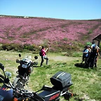DSCF2552