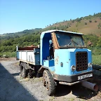 DSCN6964