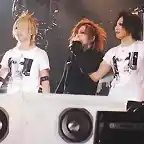 the gazette (8)