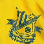 ESCUDO EQUIPO
