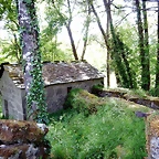 DSCN2456