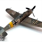 bf106g-6 (9)