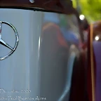 DSC_5599-2