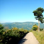 DSCN4728