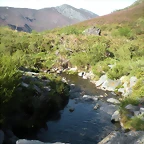 DSCN5124