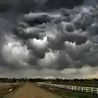 Asperatus