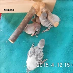 CIMG0977