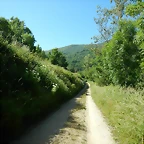 DSCN4804
