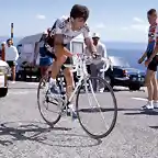 Perico-Tour1987-Mont Ventoux10