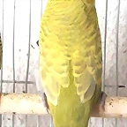 FB_IMG_1503082138565