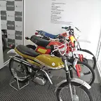 IMG_1529