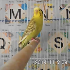 CIMG0679