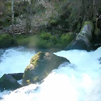 DSCN1496