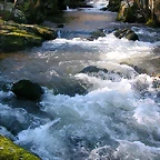 DSCN1517