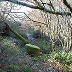 DSCN1508