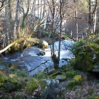 DSCN1509