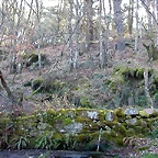 DSCN1516
