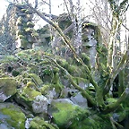 DSCN1511