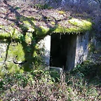 DSCN1506