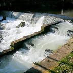 DSCN1534