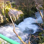 DSCN1505