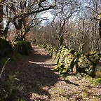 DSCN1523