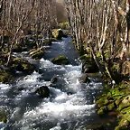 DSCN1504