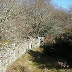 DSCN1522