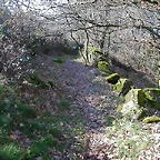 DSCN1521