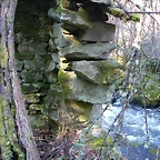DSCN1519