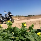 IMG_20210627_112918