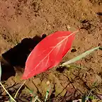 11, caminando sobre el agua, marca