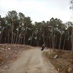 DSCN0168