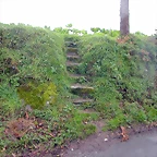 DSCN7332