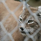 Zoo Lunaret + Sigean 18 i 19-09-10 356